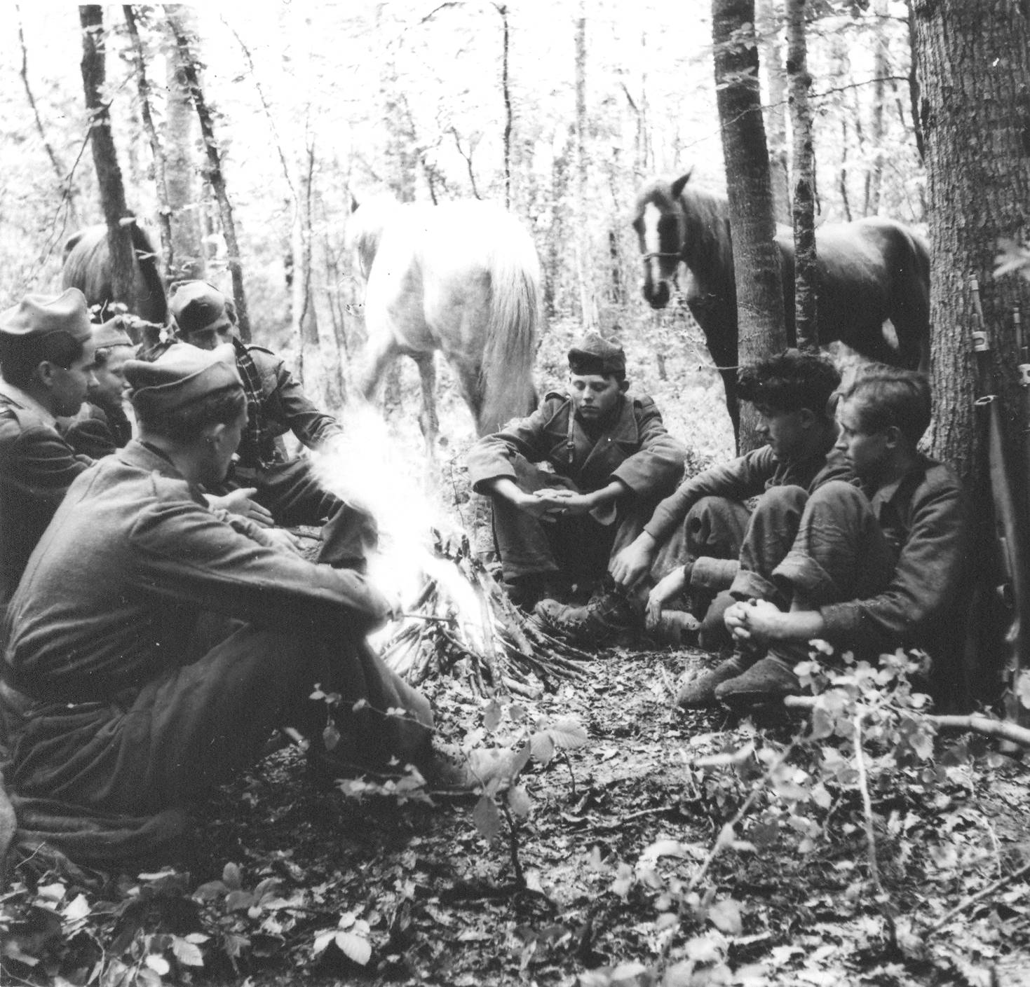 „Wälder, Wälder, unser größter Dank an euch“:<br>Die Natur, der engste Verbündete der Partisanen