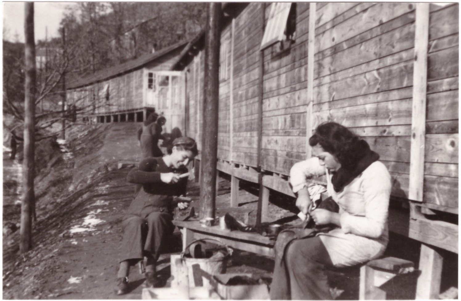 From Rieucros to Ravensbrück: resistance by women in camps